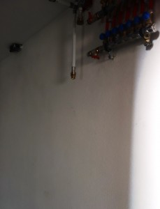 DSC00316