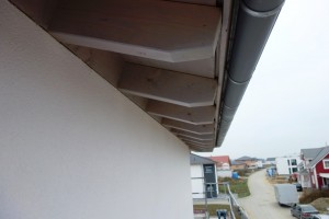 DSC00389