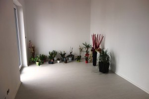 DSC01058