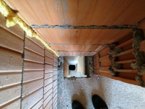 IMG_0689